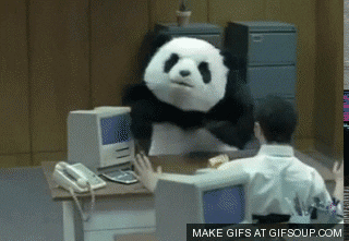 Angry Panda GIFs - Get the best GIF on GIPHY
