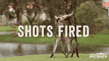 Shots Fired GIFs - Get the best GIF on GIPHY